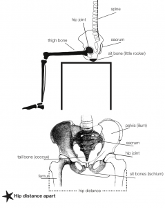 Correct sitting posture