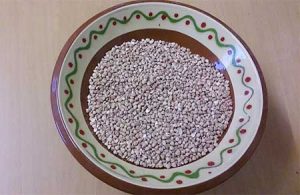 Kasha roasted buckwheat groats