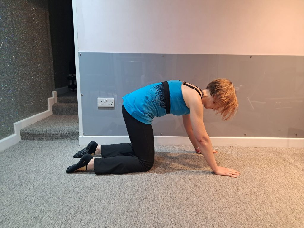 Author demonstrating the Cat/Cow exercise